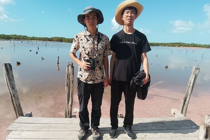 Celestún Mangrove Boat Tour: Flamingos, Clay Baths & Beach Escape from Mérida photo 3