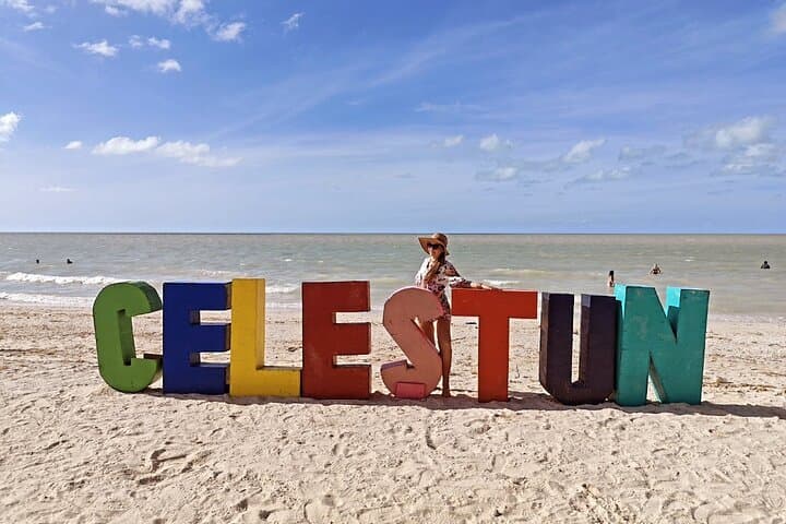Celestún Mangrove Boat Tour: Flamingos, Clay Baths & Beach Escape from Mérida photo 5