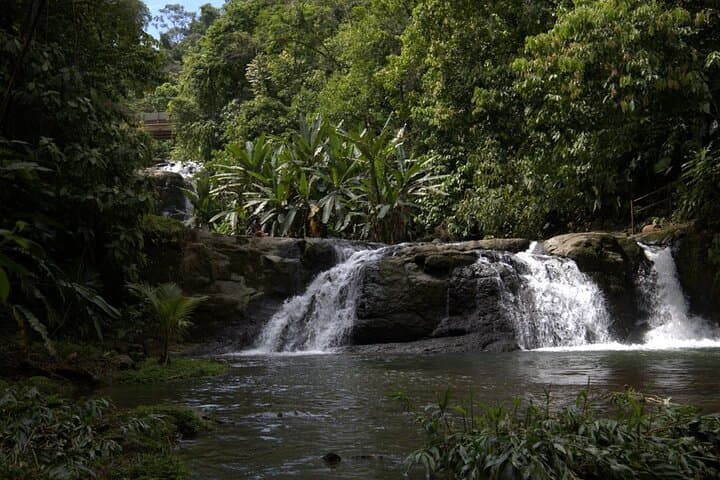 Bribri Shaman, Chocolate & Waterfall Tour in Talamanca, Limón photo 3