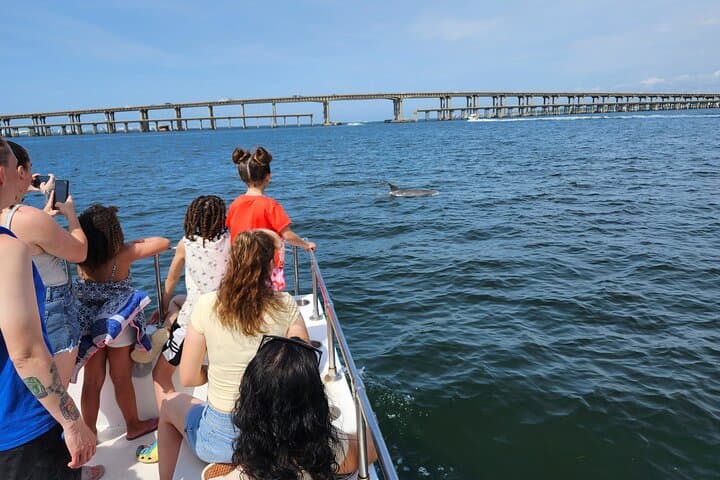 Pensacola Beach Dolphin and Scenic Cruise photo 5