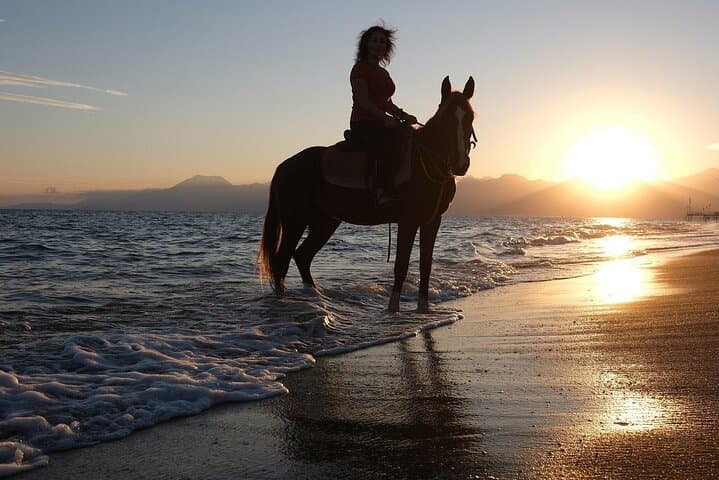 Antalya Horse Riding Experience — Beach and Pine-Forest Horseback Ride photo 2