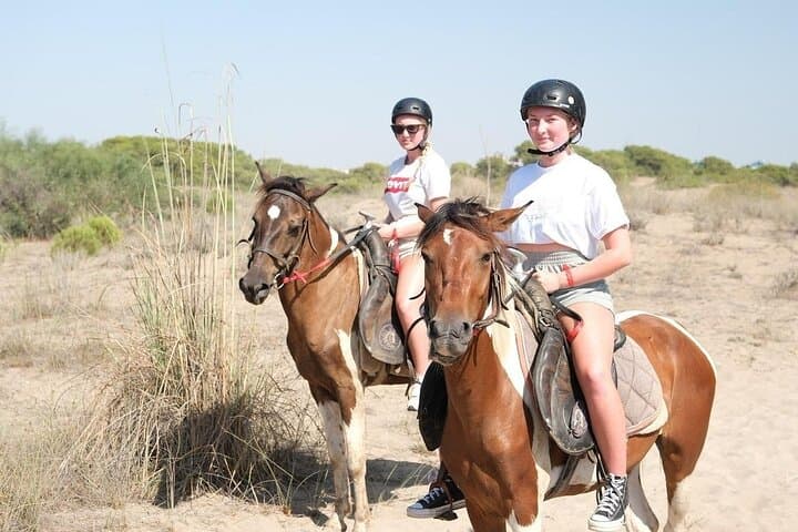 Antalya Horse Riding Experience — Beach and Pine-Forest Horseback Ride photo 5