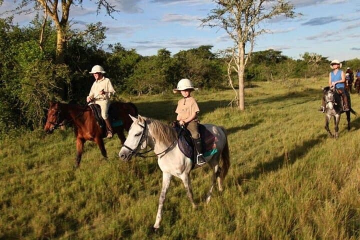 Antalya Horse Riding Experience — Beach and Pine-Forest Horseback Ride