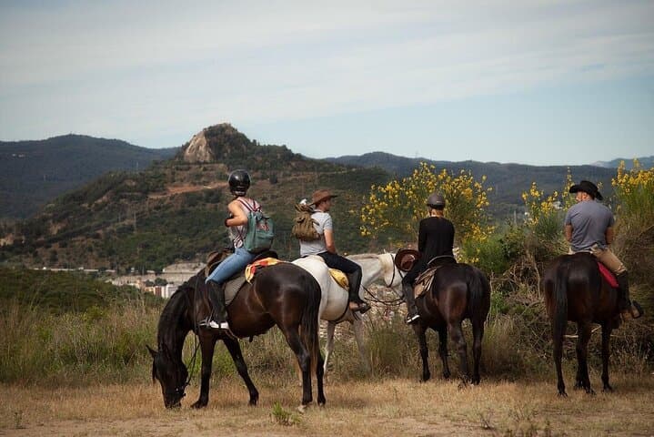 Antalya Horse Riding Experience — Beach and Pine-Forest Horseback Ride photo 3