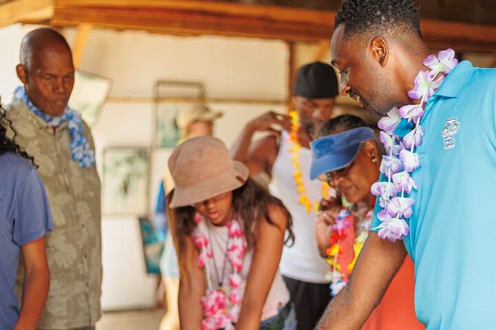 Grenada Full-Day Island Tour — Belmont Estate Chocolate, Waterfalls & Grand Etang Views photo 6