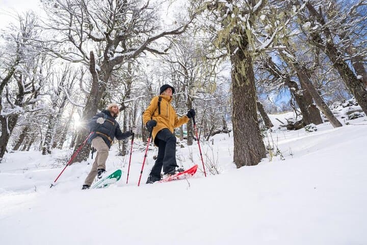 Explore Cerro López: 4x4 Ascent, Guided Snowshoe Trek & Mountain Refuge Lunch