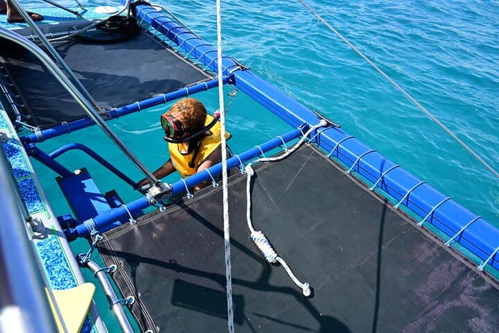 Oahu Catamaran Turtle Snorkel Tour from Waikiki — Guaranteed Turtle Sightings photo 4