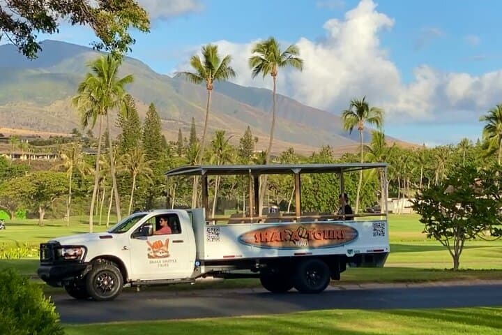Open-Air West Maui Sightseeing — Kāʻanapali to Honolua Bay photo 2