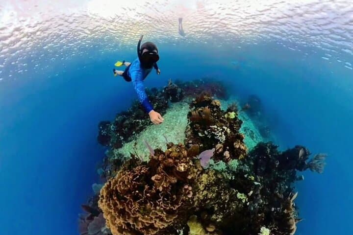 Roatán Monkey & Sloth Park, Barrier Reef Snorkel and Private Cay Beach Break photo 6