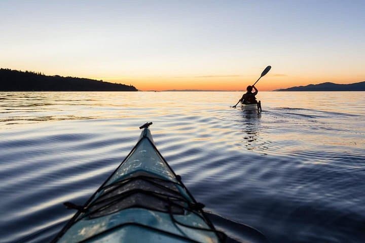 False Bay Walk and Penguin Kayak — Full-Day Coastal Tour from Muizenberg to Boulders Beach