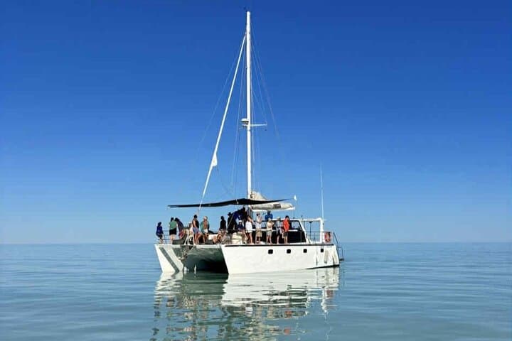 Broome Mud Crabbing & Wildlife Cruise in Roebuck Bay photo 2