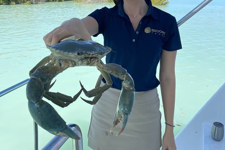 Broome Mud Crabbing & Wildlife Cruise in Roebuck Bay