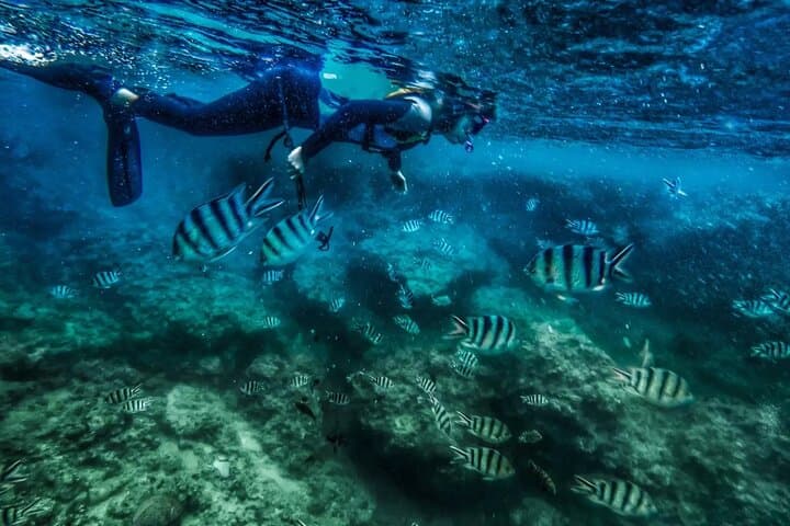 Blue Lagoon Snorkeling Bali: Private Transfer, Guide & Lunch in Padangbai photo 2
