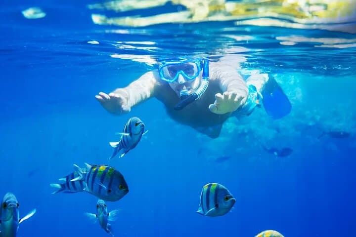 Blue Lagoon Snorkeling Bali: Private Transfer, Guide & Lunch in Padangbai