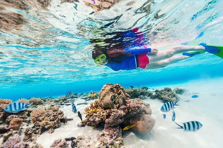 Blue Lagoon & Tanjung Jepun Snorkel + Ubud Waterfalls — Private Day Tour Bali photo 2