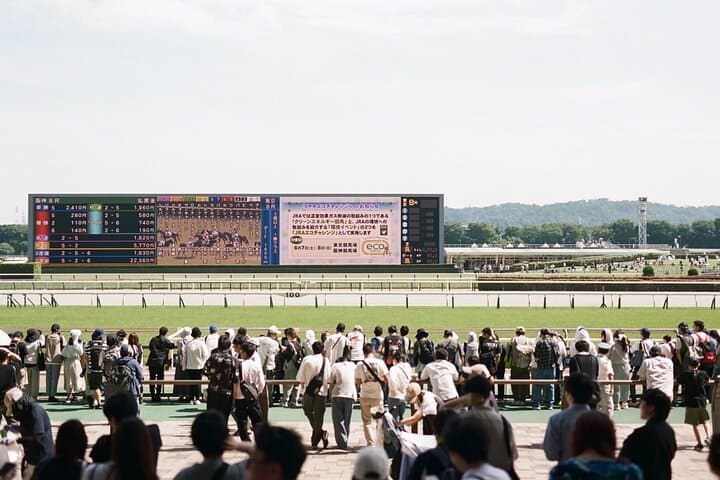 Inside Tokyo Racecourse: Horse Racing with Local Fans and Betting Basics photo 4