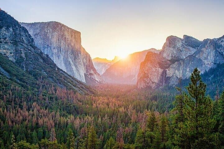 Full-Day Yosemite National Park Tour from Oakland: Tunnel View, Yosemite Falls & Half Dome photo 3