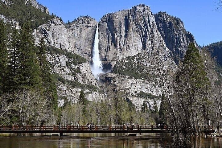Full-Day Yosemite National Park Tour from Oakland: Tunnel View, Yosemite Falls & Half Dome photo 4