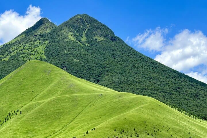 Drive-In Safari, Mt. Yufu & Beppu Hells: Full-Day Kyushu Loop from Fukuoka photo 4