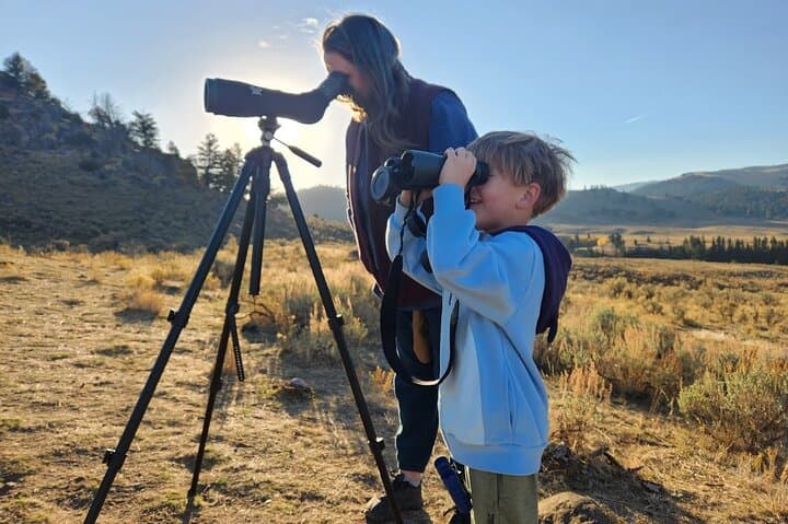 Yellowstone Upper Loop Safari: Private Lamar Valley Wildlife Tour from West Yellowstone photo 5