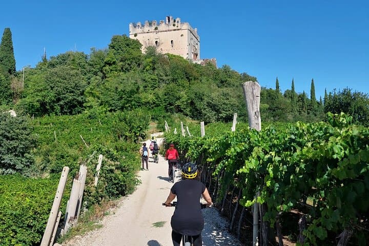Pedal-and-Pour in Soave: E-Bike Wine Tasting Through Soave Classico photo 2
