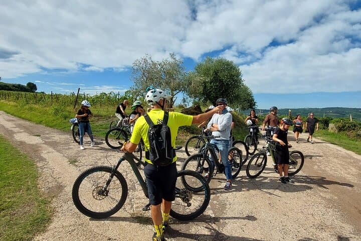 Pedal-and-Pour in Soave: E-Bike Wine Tasting Through Soave Classico photo 3