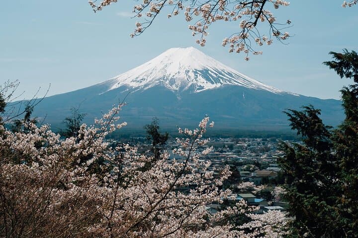 Private Mount Fuji Day Tour — Kawaguchiko, 5th Station & Cultural Stops