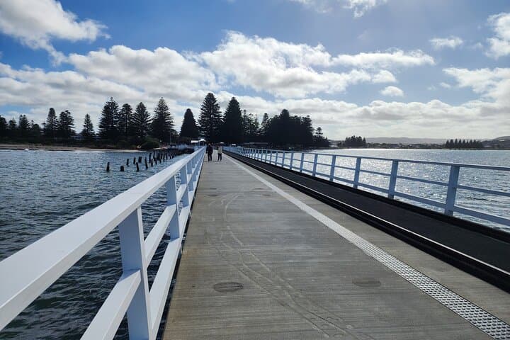 Fleurieu Coast to Victor Harbor Day Tour with d'Arenberg Wine Tasting photo 3