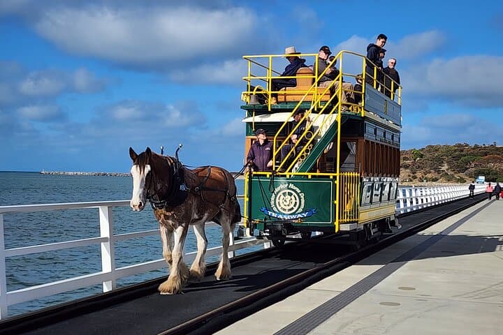 Fleurieu Coast to Victor Harbor Day Tour with d'Arenberg Wine Tasting