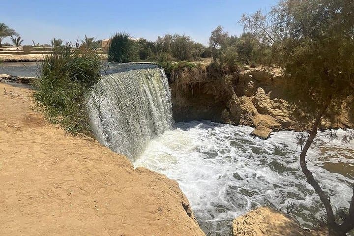 Fayoum Tapestry Day Trip: Wadi Al Hitan, Magic Lake & Wadi El Rayan from Cairo photo 1