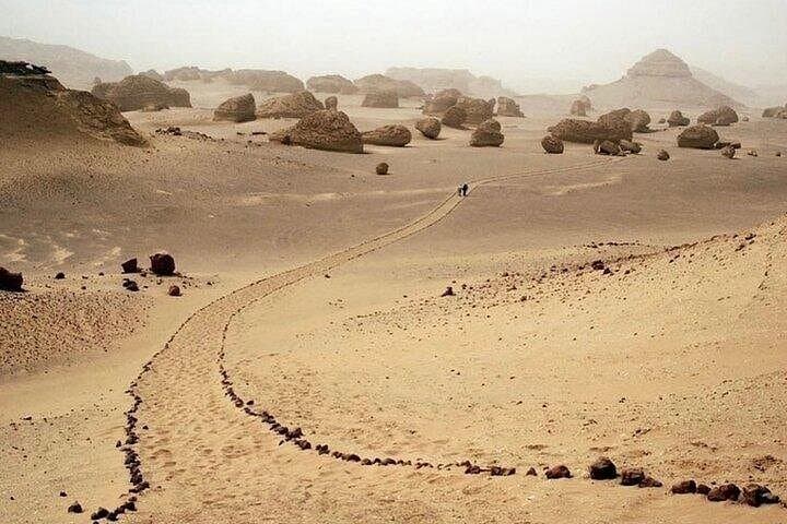 Fayoum Tapestry Day Trip: Wadi Al Hitan, Magic Lake & Wadi El Rayan from Cairo photo 2