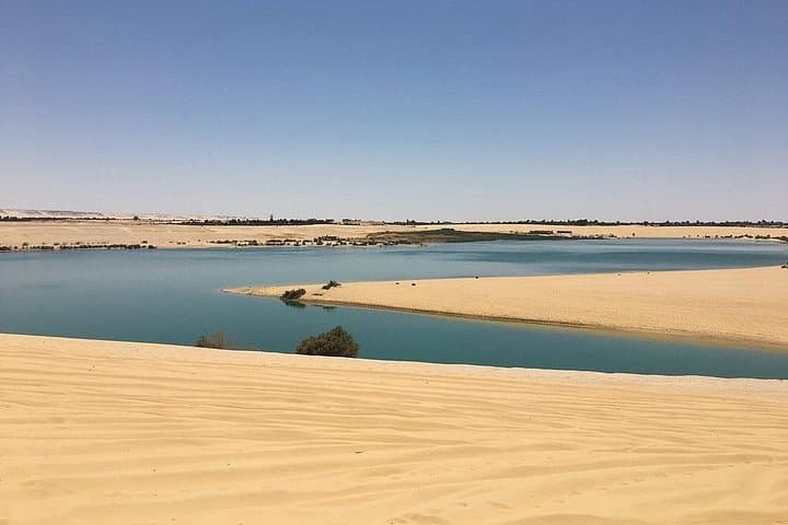 Fayoum Tapestry Day Trip: Wadi Al Hitan, Magic Lake & Wadi El Rayan from Cairo photo 4