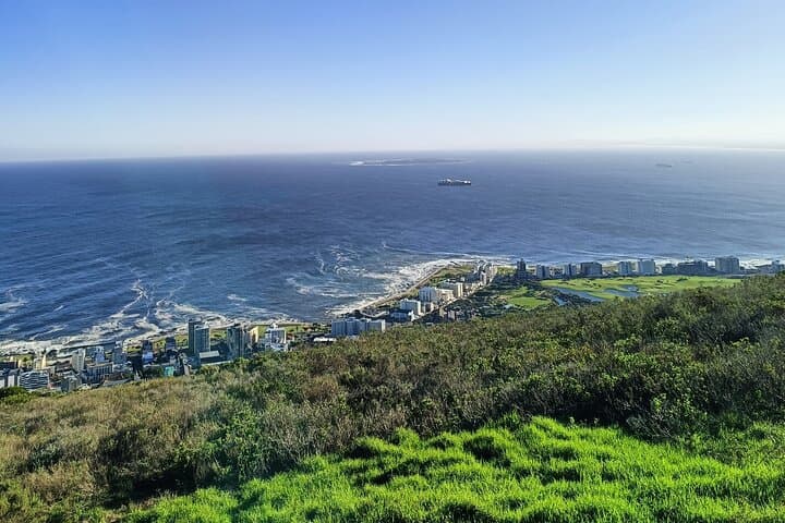 Table Mountain, Penguins & Chapman's Peak: Private Cape Town Coastal Tour photo 3
