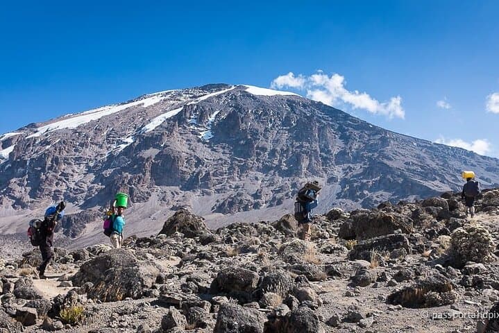 Kilimanjaro One-Day Lemosho Trek — Rainforest Hike from Moshi