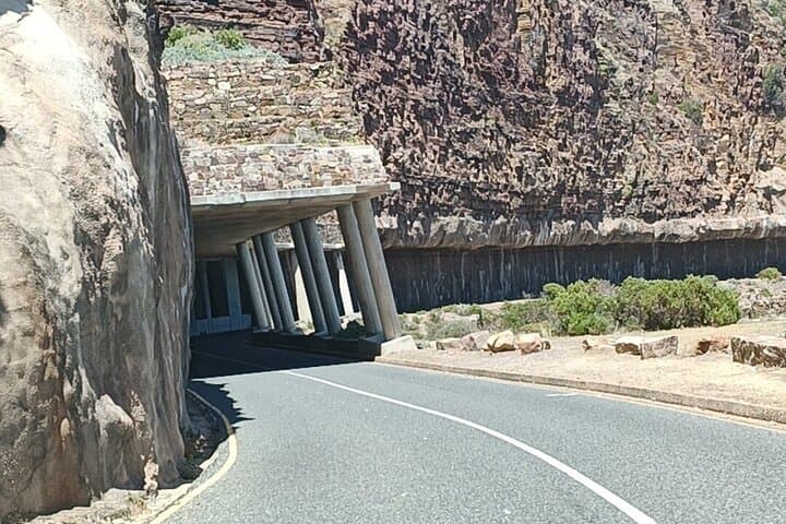 Table Mountain, Penguins & Chapman's Peak: Private Cape Town Coastal Tour photo 4