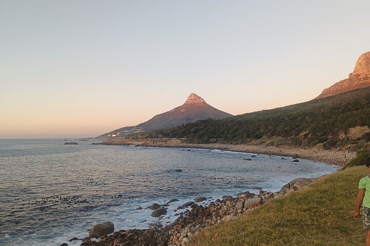 Table Mountain, Penguins & Chapman's Peak: Private Cape Town Coastal Tour photo 5
