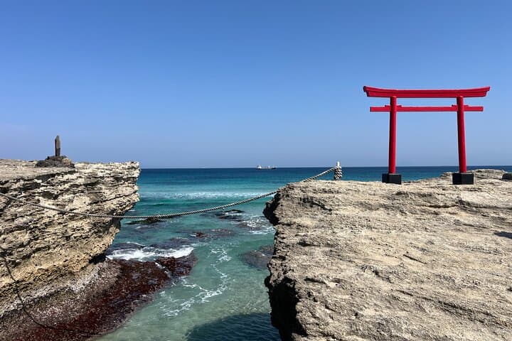 Explore West Izu: Sea Caves, Waterfalls & Monkeys on a Private Full-Day Tour photo 3
