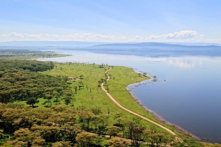 Lake Nakuru Safari and Optional Lake Naivasha Boat Ride: Day Trip from Nairobi photo 5