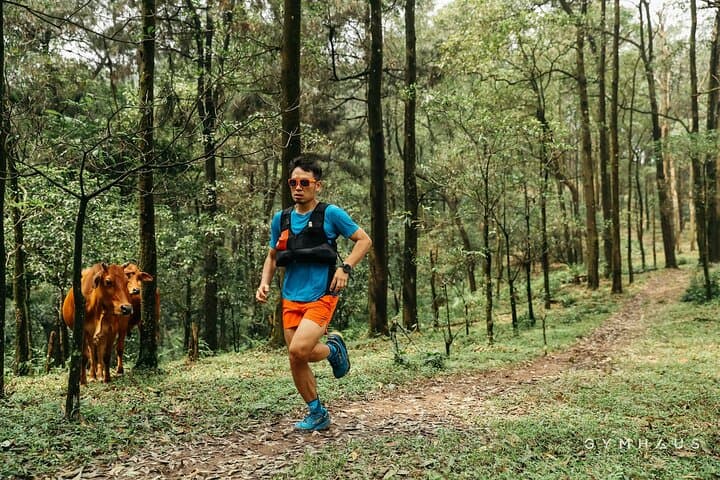 Explore Sóc Sơn’s Hidden Trails and Pine Forest Views: U Lesa Retreat