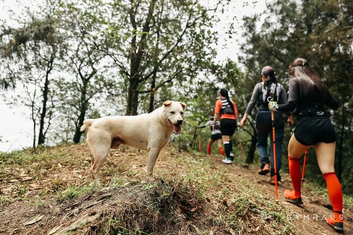 Explore Sóc Sơn’s Hidden Trails and Pine Forest Views: U Lesa Retreat photo 3