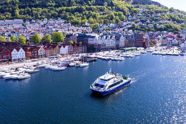 Mostraumen Fjord Cruise from Bergen with Local Guide photo 5