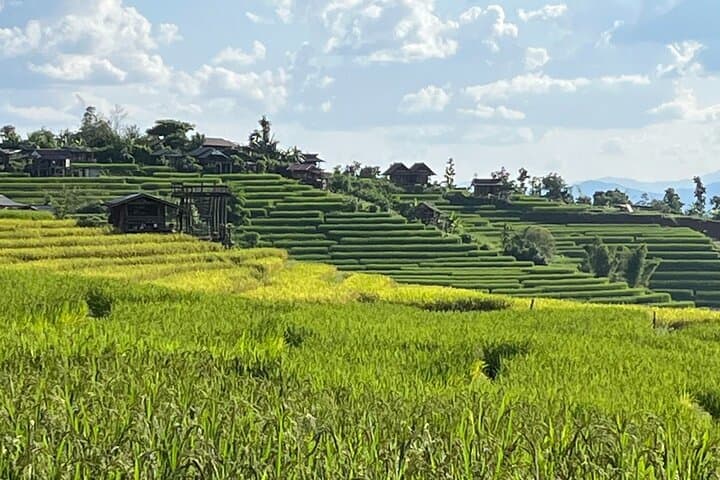 Doi Inthanon & Pa Pong Piang: Chiang Mai's High-Altitude Rice Terraces and Waterfalls