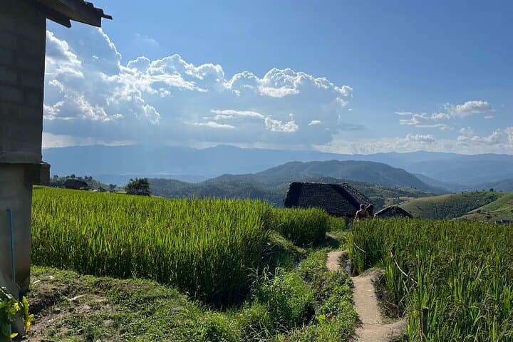 Doi Inthanon & Pa Pong Piang: Chiang Mai's High-Altitude Rice Terraces and Waterfalls photo 2
