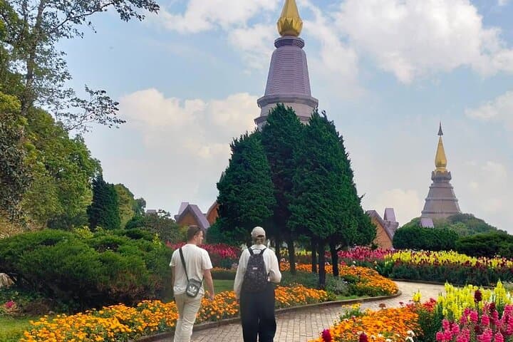 Doi Inthanon & Pa Pong Piang: Chiang Mai's High-Altitude Rice Terraces and Waterfalls photo 4