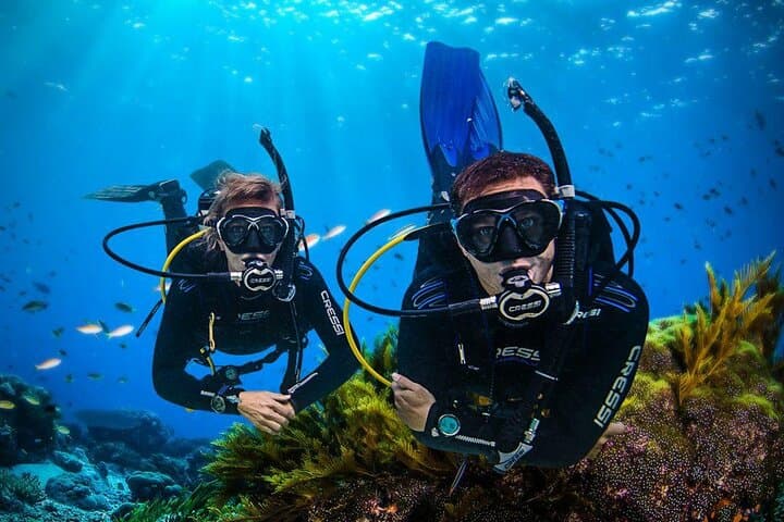 Scuba Diving Jounieh: Mediterranean Dives Near Beirut