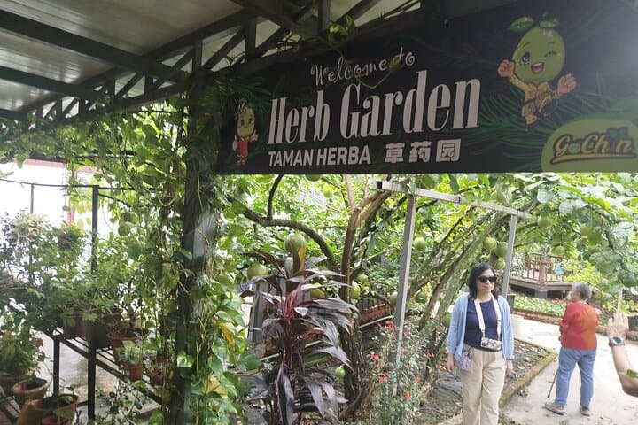 Ipoh Agro Farms and Caves Tour — Tambun Rock Art, Pamelo Park & Sam Poh Tong