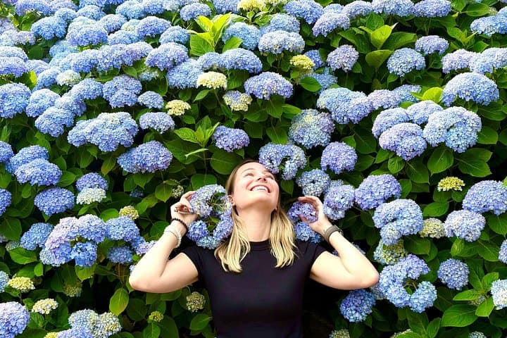 Jeju Hydrangea & Mt. Halla Small-Group Day Tour — Camellia Hill, Hallasan Wetland & Coastal Cliffs