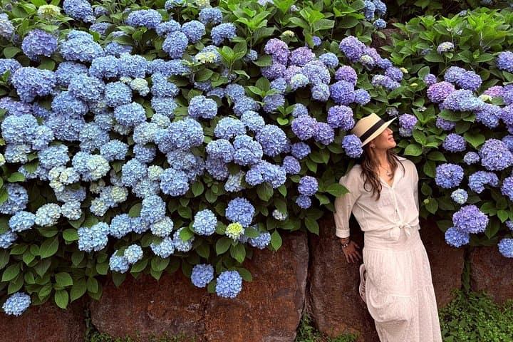 Jeju Hydrangea & Mt. Halla Small-Group Day Tour — Camellia Hill, Hallasan Wetland & Coastal Cliffs photo 3