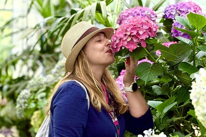 Jeju Hydrangea & Mt. Halla Small-Group Day Tour — Camellia Hill, Hallasan Wetland & Coastal Cliffs photo 2