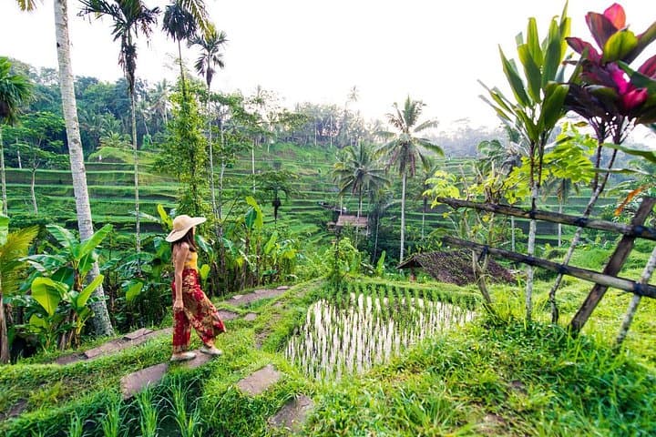 Ubud Iconic Full-Day Tour — Monkey Forest, Tegallalang Rice Terraces & Tegenungan Waterfall photo 1